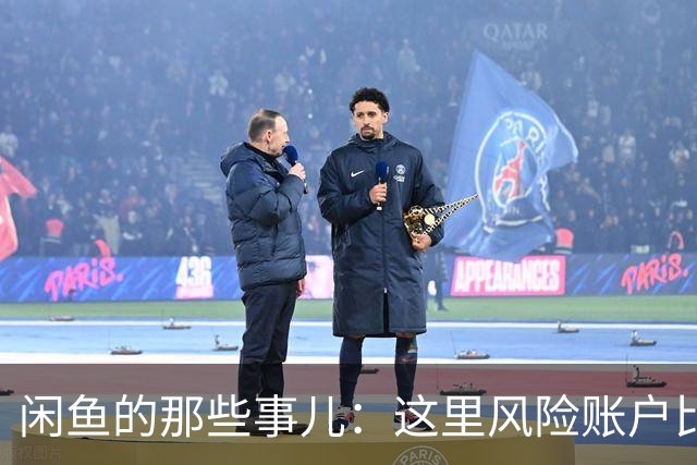 闲鱼的那些事儿：这里风险账户比我家猫还多！